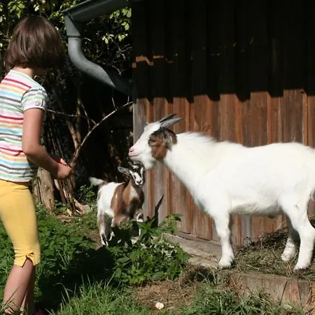 Schlossmayrhof St. Gilgen